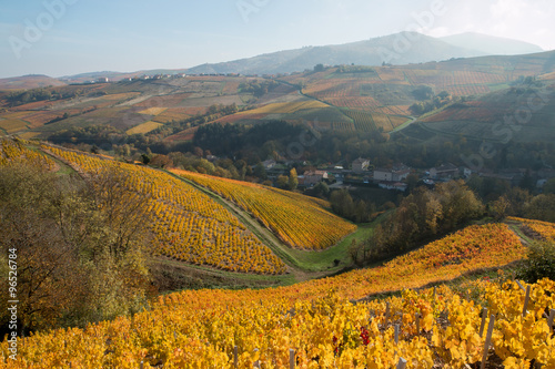 Le village du Perréon , à l' automne dans le Beaujolais , ceinturé de vignes