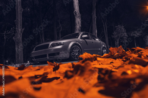 Audi A4 in autumn