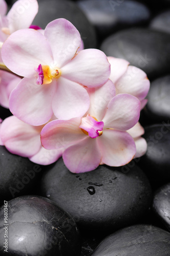 Beautiful orchid with and therapy stones 