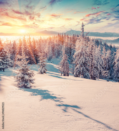 Colorful winter sunrise in the snowy mountains.