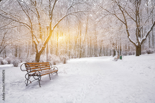 Snow-covered trees and benches in the city park