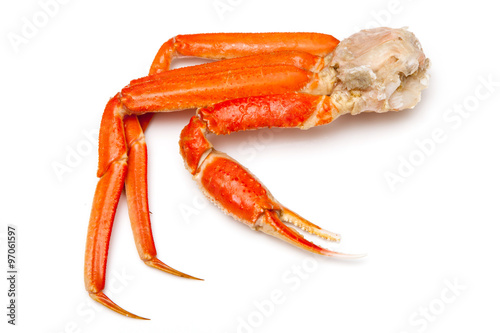 Snow crab (Chionoecetes opilio) or Tanner crab clusters isoloted on a white studio background.