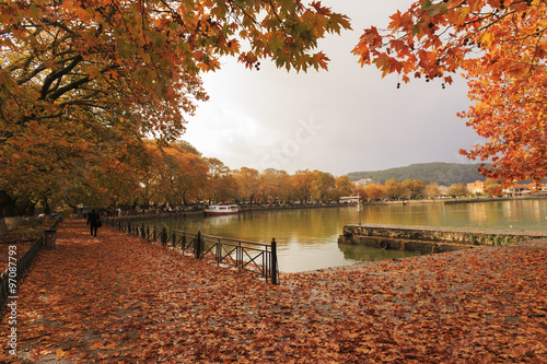 Ioannina city, Greece in autumn colors, trees leaves