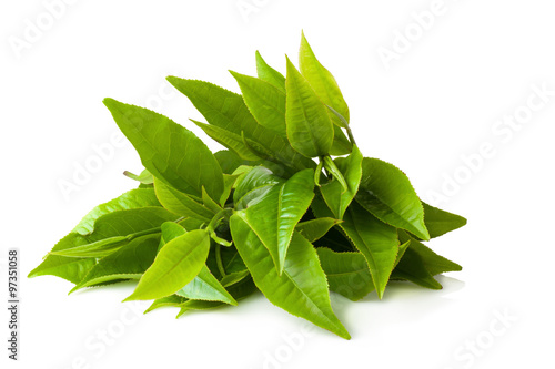 green tea leaf isolated on white background