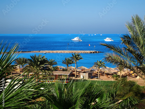 Egyptian shore
