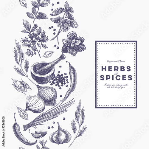Vector background with hand drawn herbs and spices. 