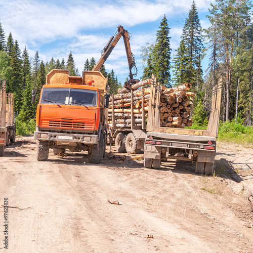 Tree crop harvester stands on dirty road and stows logs in timber lorry. Arkhangelsky region, Russia. 