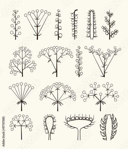 Set of vector different types of inflorescence isolated on white.