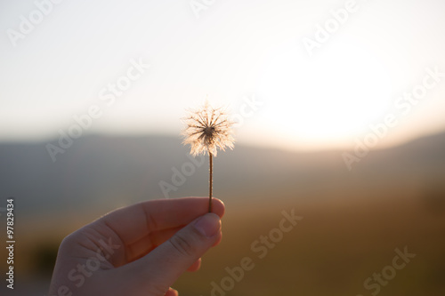 flower on woman hand, sunset on mountain
