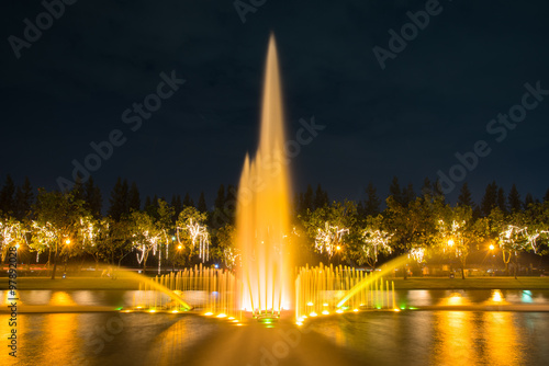 Fireworks in KING RAMA 9 with flower and fountain