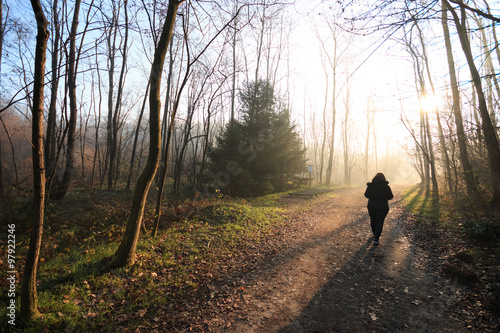 sentiero nel parco del Lura - Lomazzo