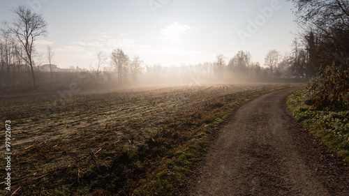 sentiero nel parco del Lura - Lomazzo