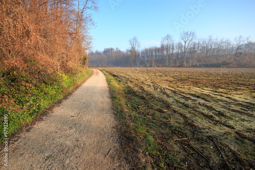 sentiero nel parco del Lura - Lomazzo