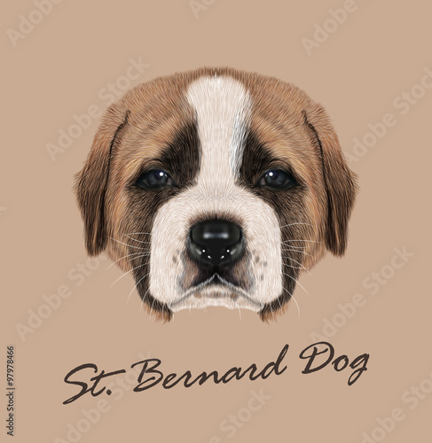 St Bernard Dog animal cute face. Vector funny Swiss alpine Saint Bernard brown and white puppy head portrait. Realistic fur portrait of purebred young St. Bernard doggie isolated on beige background.