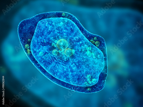 Amoeba on blue background