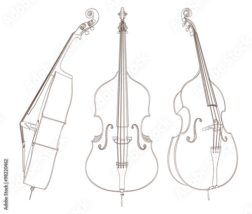 contrabass drawing on white. vector illustration