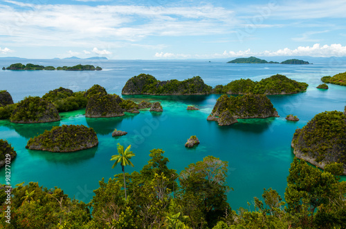 Many small green Islands belonging to Fam Island in the sea of Raja Ampat, Papua New Guinea