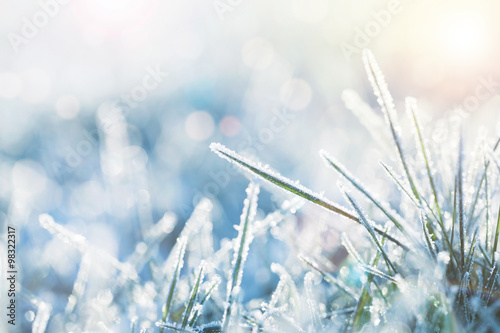 Winter background, morning frost on the grass with copy space