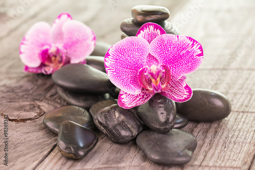 Phalaenopsis orchids and black stones on weathered wood background 