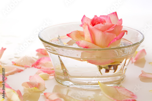 White Rose in a bowl of water and petals.