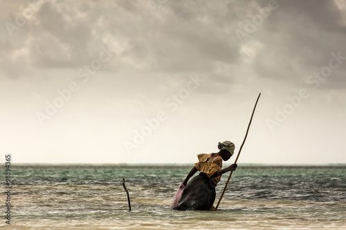 Woman in Zanzibar looking for seaweed in ocean on low tide