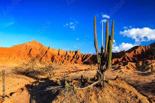 ​big cactuses in red desert, tatacoa desert, columbia, latin america, clouds and sand, red sand in desert, white sand in desert