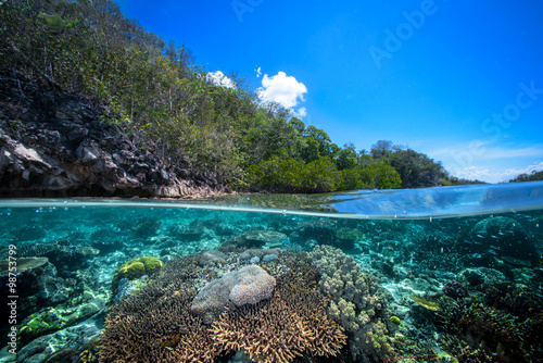 ocean travel 