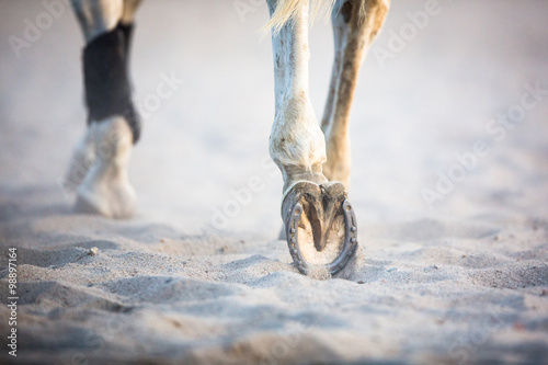 Feet of a running horse
