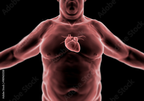 Corpo umano, persona grassa, cuore e anatomia, radiografia