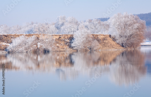 winter reflection in the river