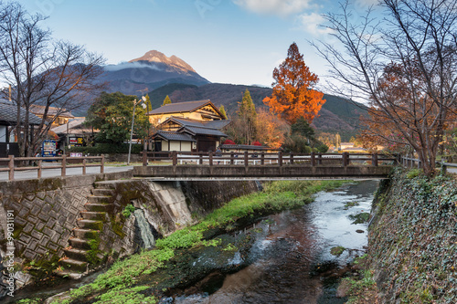 Red leaf in Fukuoka Japan