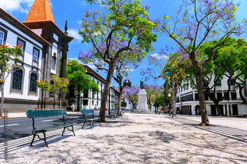 Funchal cityscape with main street at sunny summer day