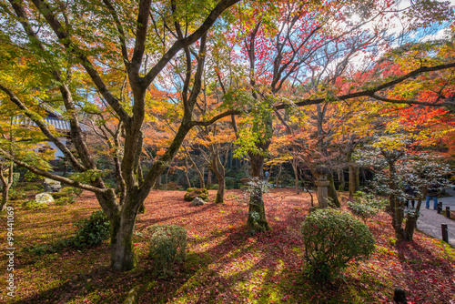 Autumn foliage at Enkoji Temple