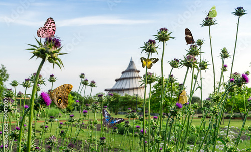 Jahrtausendturm im Elbauenpark Magdeburg