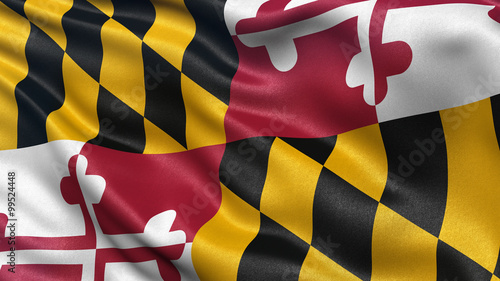 US state flag of Maryland
