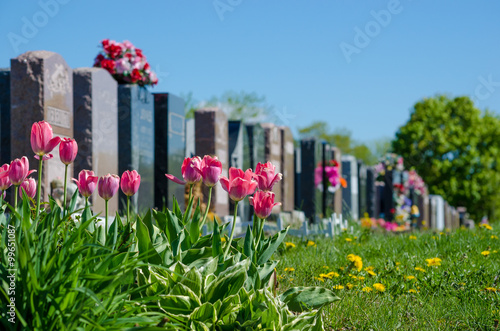 Aligned headstones in a cemetary