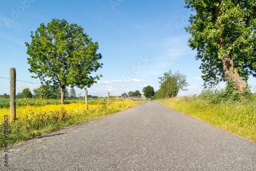 Road in polder landscape in the countryside near Amersfoort, Netherlands