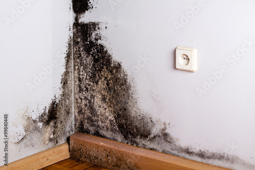 Black mold in the corner of room wall