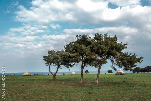 Puglia seaside landscapes