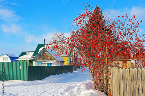 Garden society with buildings of the Soviet times