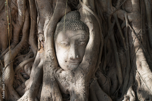 Head of Buddha in the tree roots , Wat Mahathat