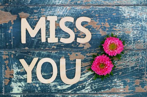 Miss you written with wooden letters on rustic surface and pink daisy flowers 