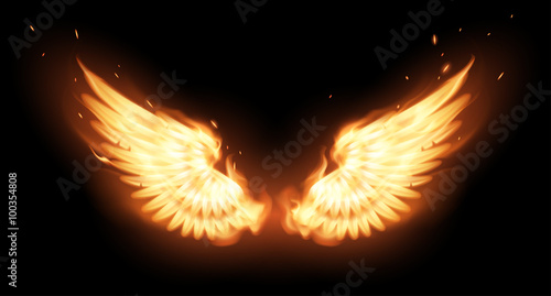 Wings in flame