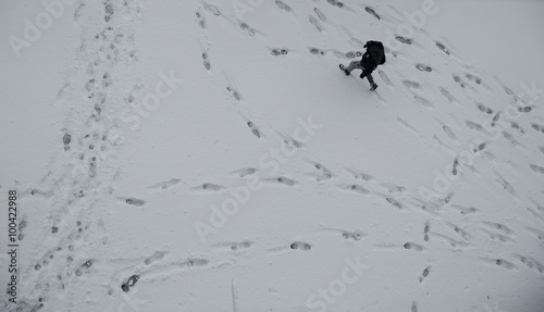 Impronte sulla neve