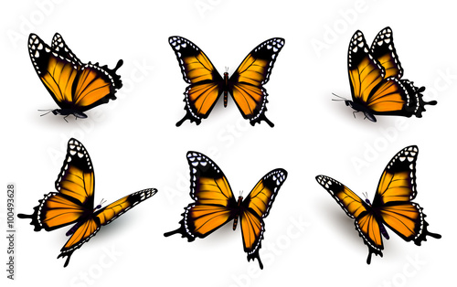 Six butterflies set. Vector.