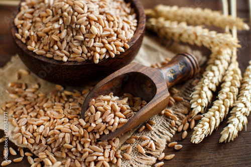 Uncooked whole spelt grain in a bowl with spelt ears