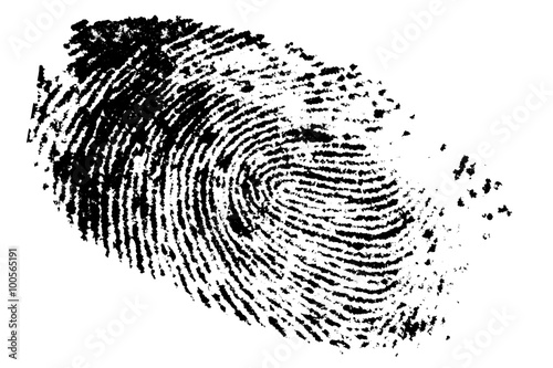 Fingerprint / Fingerprint on white background, digital retouch.