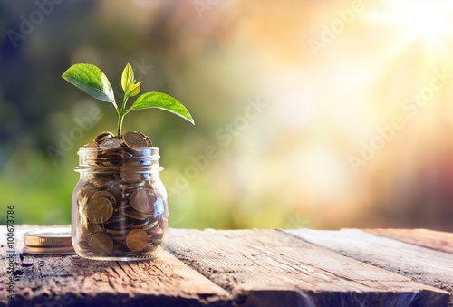 Plant Growing In Savings Coins - Investment And Interest Concept 