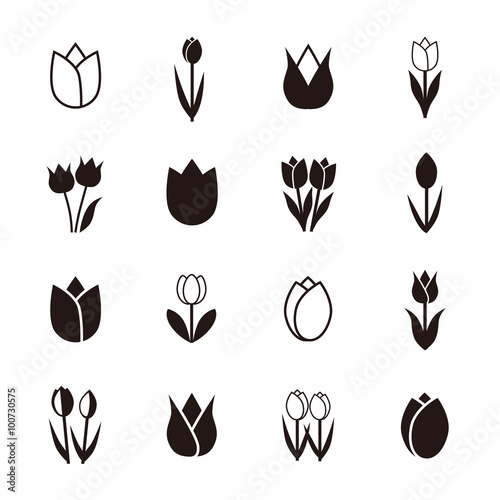 Tulip icons, vector illustration