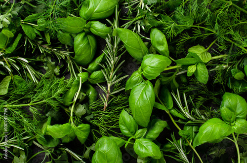 Fresh herbs background